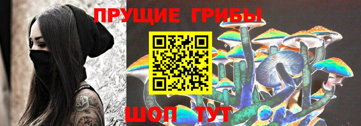 Аксай  Галлюциногенные грибы мицелий  Псилоцибиновые грибы прущие грибы  Вход с VPN 