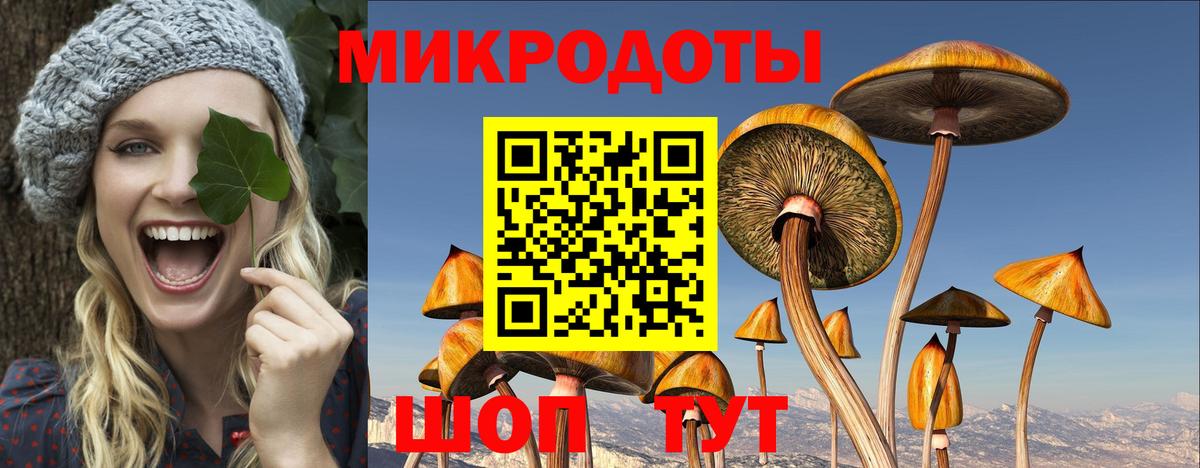 Псилоцибиновые грибы MAGIC MUSHROOMS Аксай